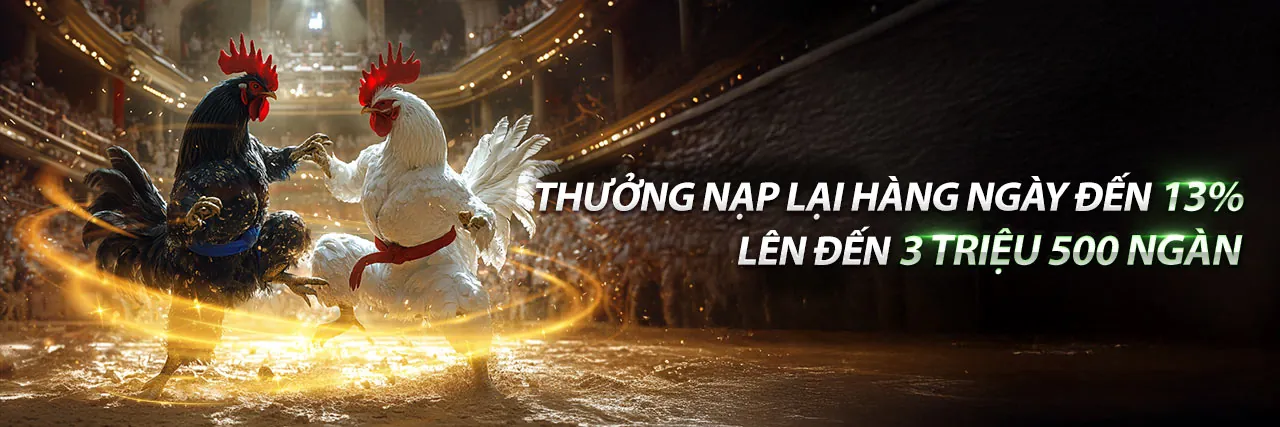 Đá gà trực tuyến Siglebet